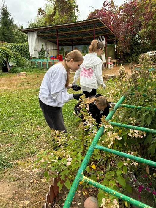 oBDV0CfMvuA19d1pluUYx0zaths2BXPhVq2rvWXIyr9t2oYzc5pDiZWOCDU_hGPd6sPvs9sN_G2NE9lXXZkDjQP-