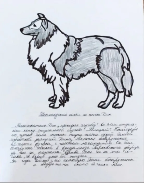 Квест "Три дня до Победы"