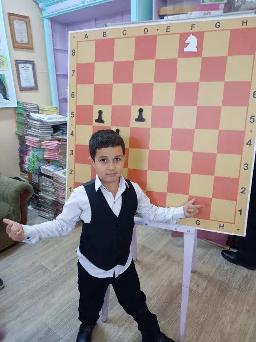 Шахматная секция