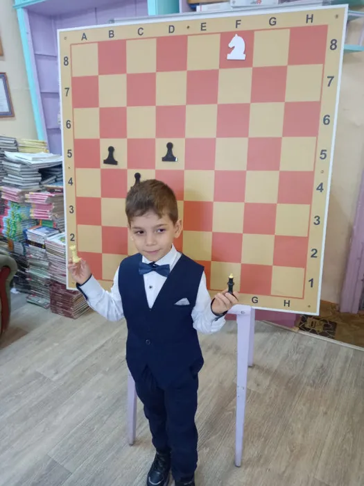 Шахматная секция