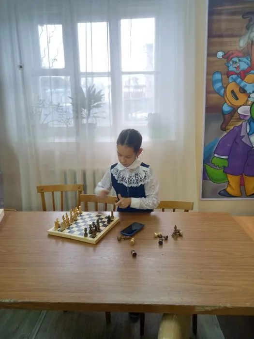 Шахматная секция