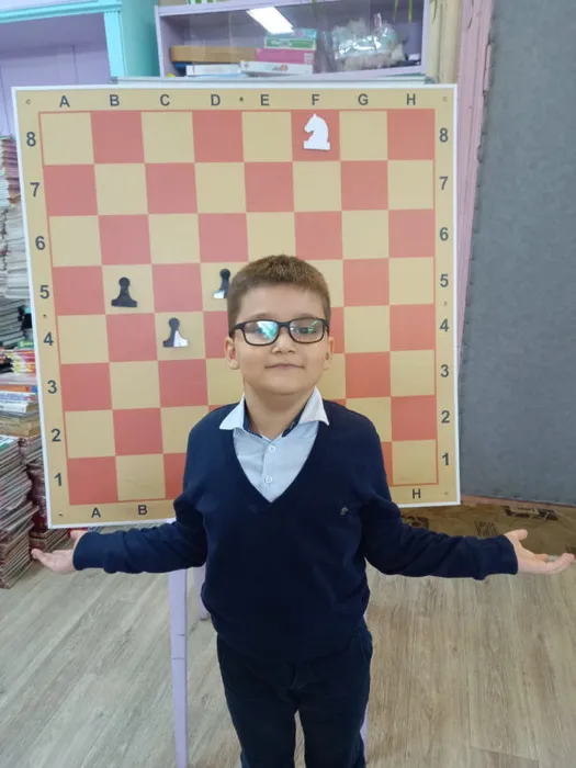 Шахматная секция